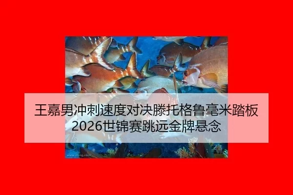 王嘉男冲刺速度对决滕托格鲁毫米踏板 2026世锦赛跳远金牌悬念